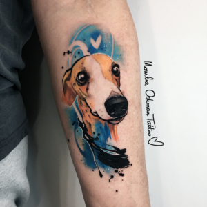 Tatuaż realistyczno-malarski psa whippeta charta autorstwa Moniki Ochman Tattoo z Łodzi